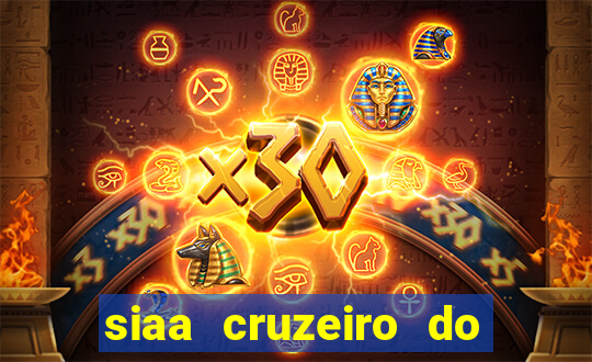 siaa cruzeiro do sul aluno
